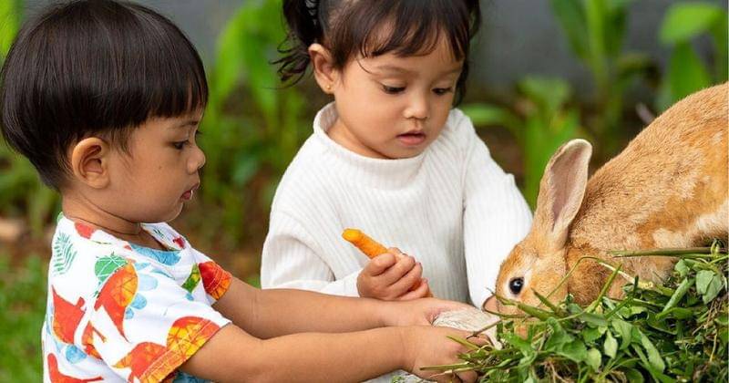 Instagram.com/astonsentul